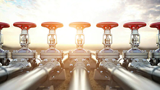 Features of gate valve
